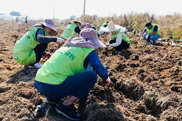 농번기 안정적 인력 공급 지원…공공형 계절근로 3배 이상 확대